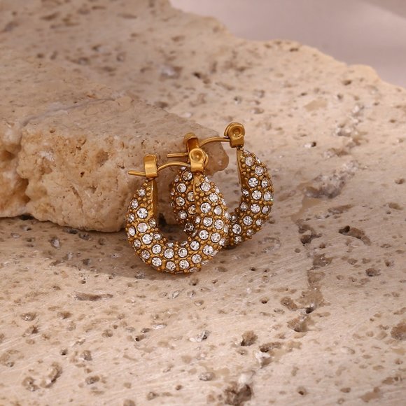 Small Zircon Huggie Hoop 18K Gold Plated Stainless Steel‎ Earrings - Picture 6 of 9